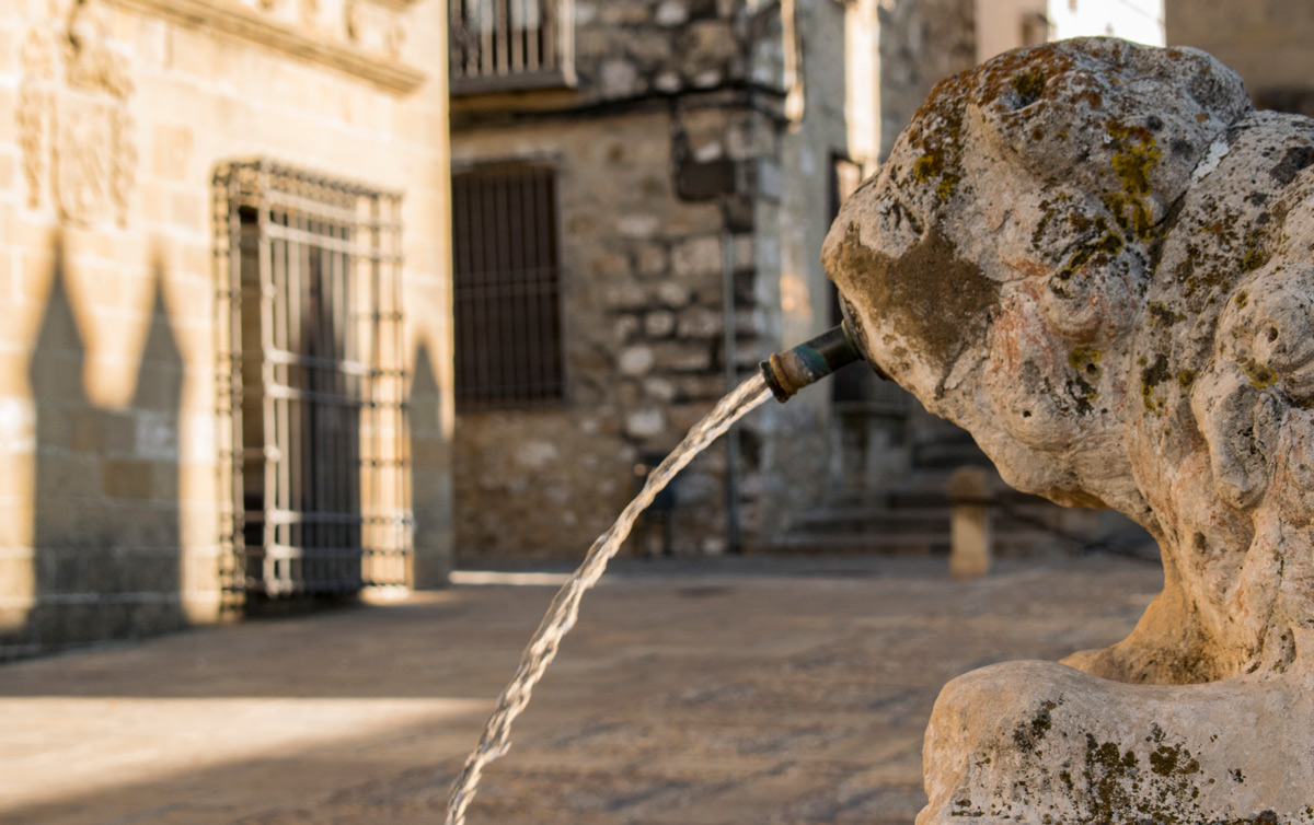 Detail of the Fountain of the Lions. Baeza (Jaén).