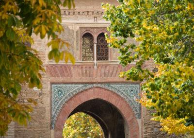 Puerta del vino.