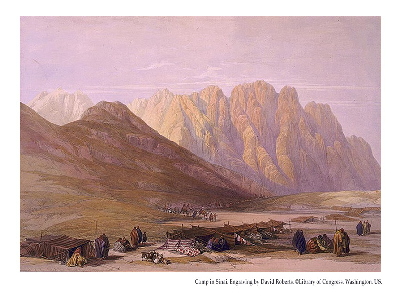 Camp in Sinai. Engraving by David Roberts. ©Library of Congress. Washington. US.