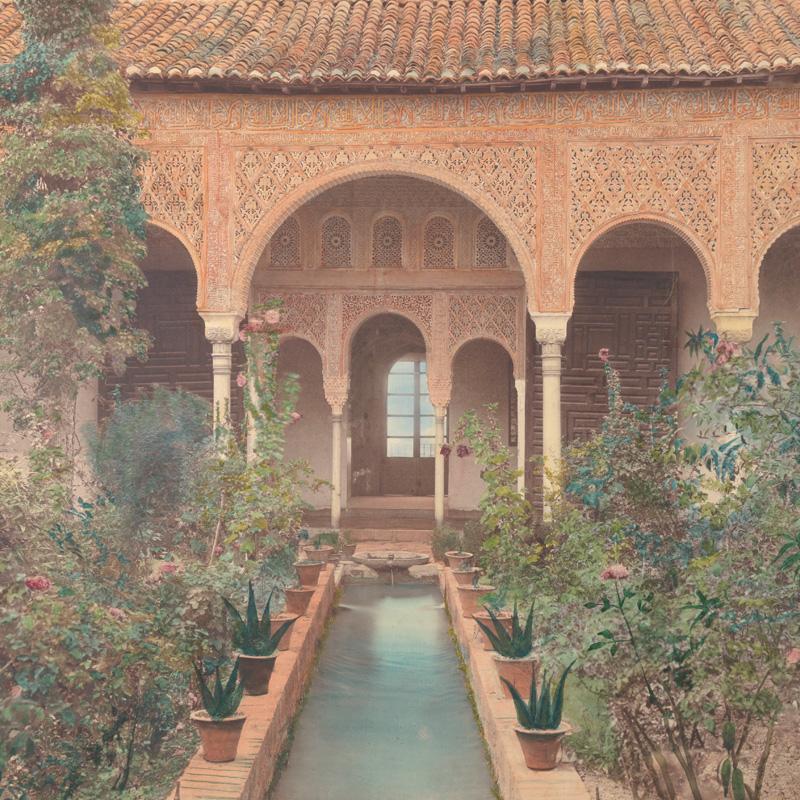 800x800 cuando el color